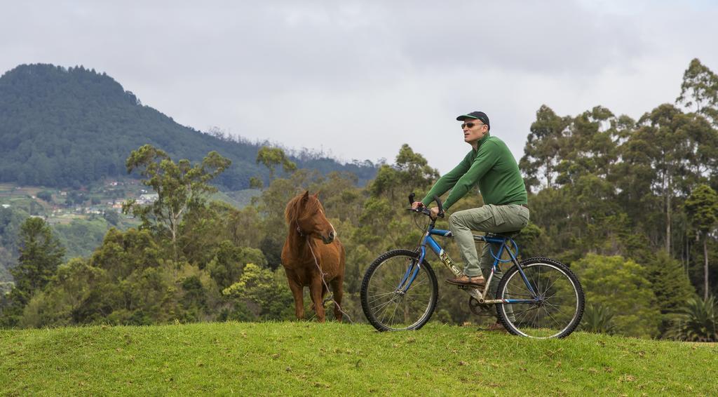 Hill Rise Luxury Villa & Stables By Edwards Collection Nuwara Eliya Extérieur photo