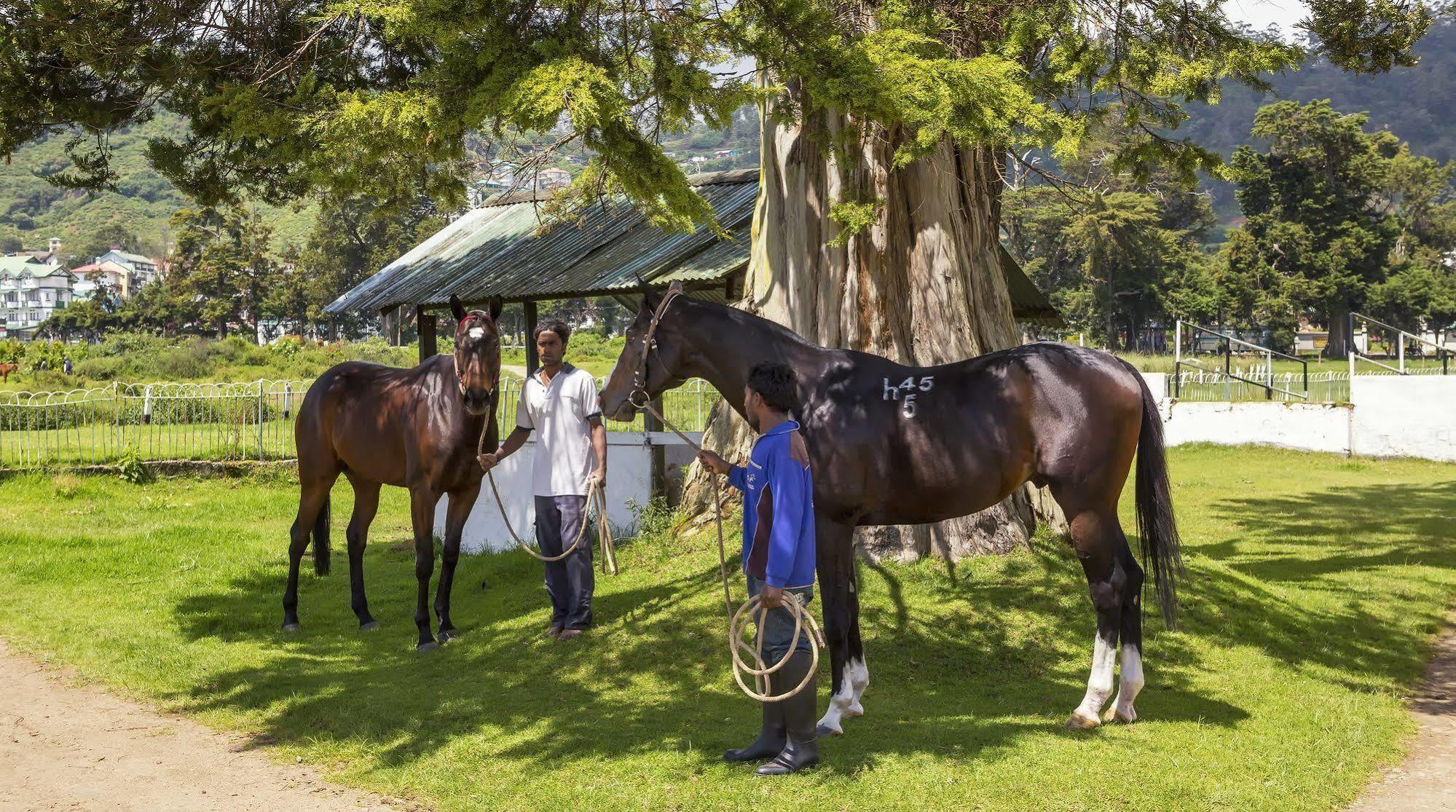 Hill Rise Luxury Villa & Stables By Edwards Collection Nuwara Eliya Extérieur photo